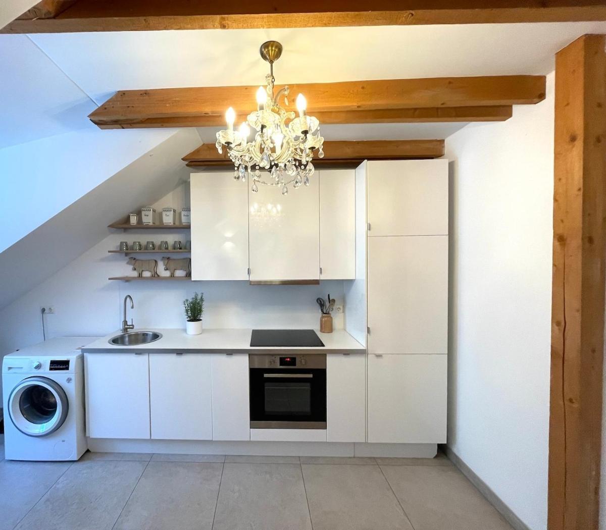 Grosse Wohnung Mit Dachterrasse In Starnberg Exteriör bild